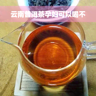 云南普洱茶孕妇可以喝不