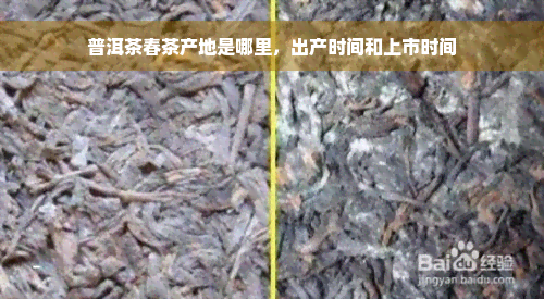 普洱茶春茶产地是哪里，出产时间和上市时间