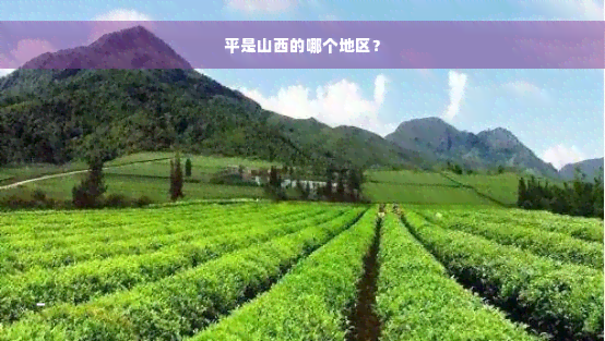 平是山西的哪个地区？