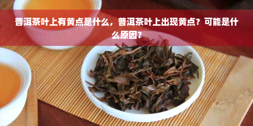 普洱茶叶上有黄点是什么，普洱茶叶上出现黄点？可能是什么原因？