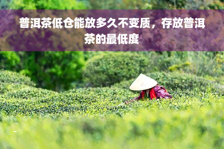 普洱茶低仓能放多久不变质，存放普洱茶的更低度