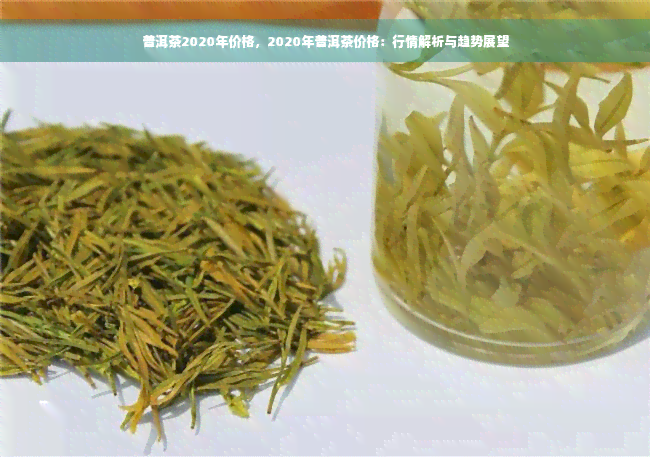 普洱茶2020年价格，2020年普洱茶价格：行情解析与趋势展望