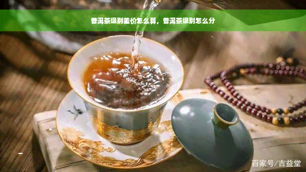 普洱茶级别差价怎么算，普洱茶级别怎么分