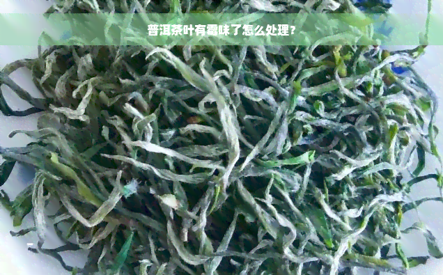 普洱茶叶有霉味了怎么处理？