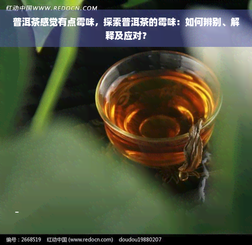 普洱茶感觉有点霉味，探索普洱茶的霉味：如何辨别、解释及应对？