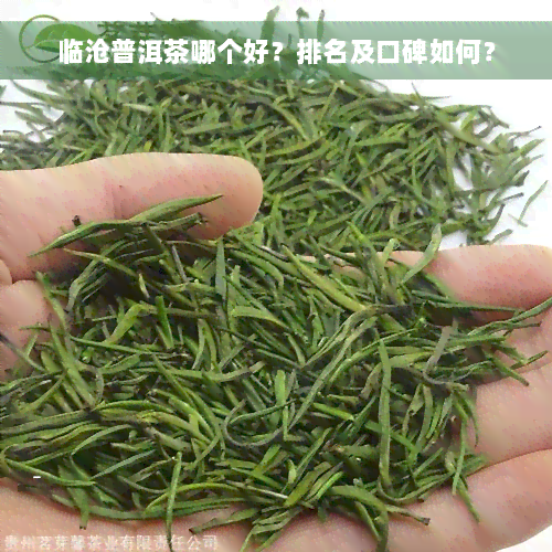 临沧普洱茶哪个好？排名及口碑如何？