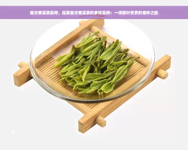 临沧普洱茶品种，探索临沧普洱茶的多样品种：一场茶叶世界的奇妙之旅