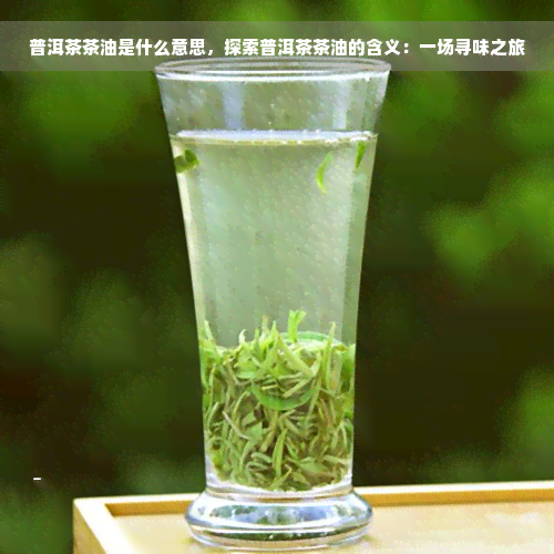 普洱茶茶油是什么意思，探索普洱茶茶油的含义：一场寻味之旅