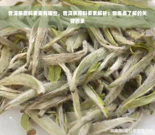 普洱茶原料要素有哪些，普洱茶原料要素解析：你需要了解的关键因素