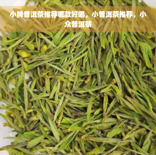 小牌普洱茶推荐哪款好喝，小普洱茶推荐，小众普洱茶