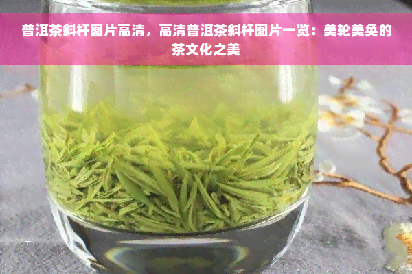 普洱茶斜杆图片高清，高清普洱茶斜杆图片一览：美轮美奂的茶文化之美