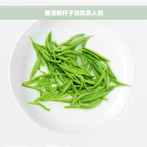 普洱茶杆子功效及入药