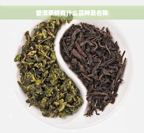 普洱茶都有什么品种及名称