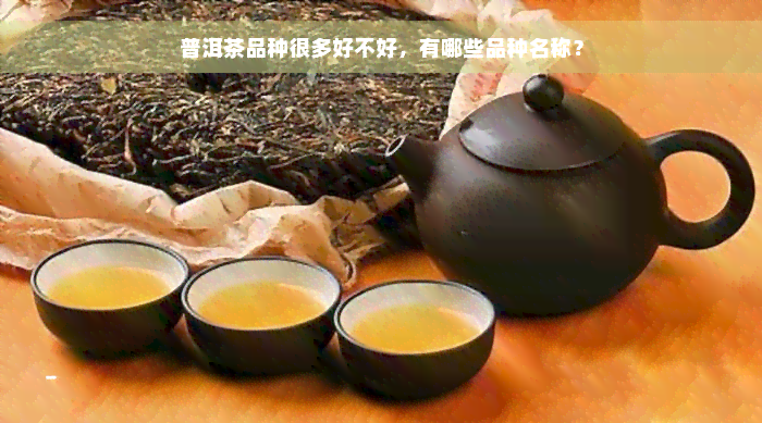 普洱茶品种很多好不好，有哪些品种名称？