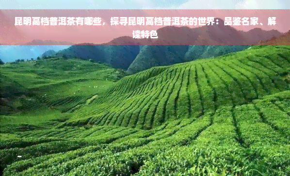 昆明高档普洱茶有哪些，探寻昆明高档普洱茶的世界：品鉴名家、解读特色