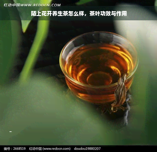 陌上花开养生茶怎么样，茶叶功效与作用