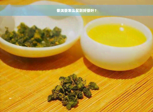 普洱茶怎么买到好茶叶？