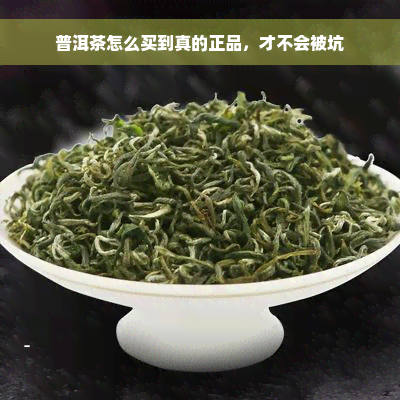 普洱茶怎么买到真的正品，才不会被坑