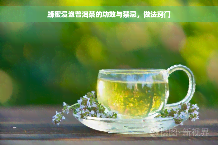 蜂蜜浸泡普洱茶的功效与禁忌，做法窍门