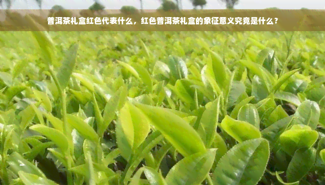 普洱茶礼盒红色代表什么，红色普洱茶礼盒的象征意义究竟是什么？