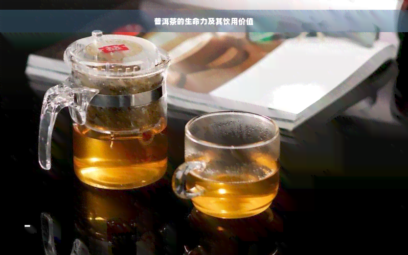 普洱茶的生命力及其饮用价值