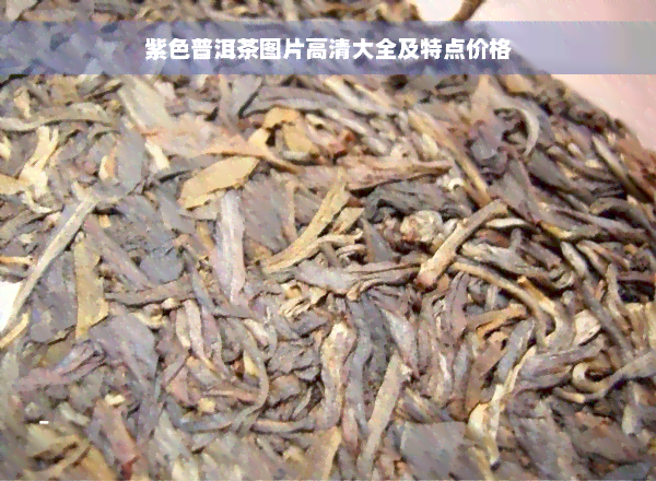 紫色普洱茶图片高清大全及特点价格