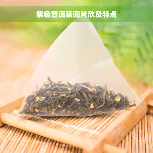 紫色普洱茶图片欣及特点