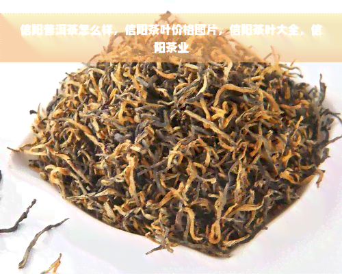 信阳普洱茶怎么样，信阳茶叶价格图片，信阳茶叶大全，信阳茶业