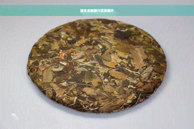 独木古树茶介绍及图片