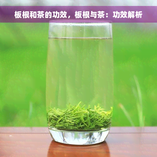 板根和茶的功效，板根与茶：功效解析