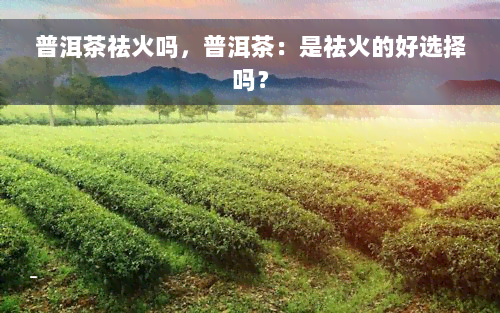 普洱茶祛火吗，普洱茶：是祛火的好选择吗？