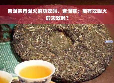 普洱茶有降火的功效吗，普洱茶：能有效降火的功效吗？