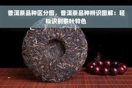 普洱茶品种区分图，普洱茶品种辨识图解：轻松识别茶叶特色