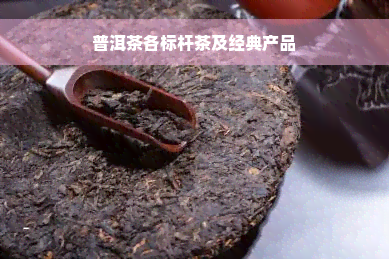 普洱茶各标杆茶及经典产品