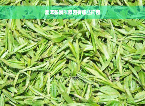 普洱茶暴涨原因有哪些问题