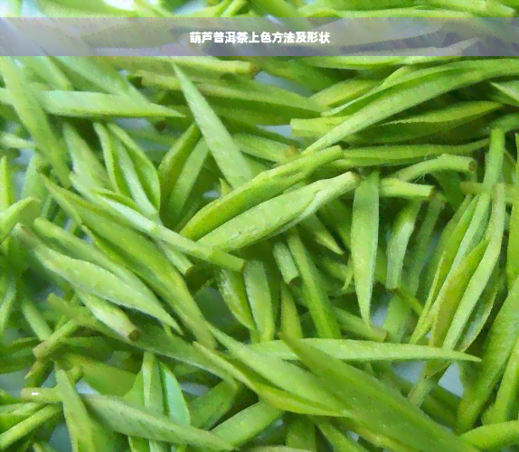 葫芦普洱茶上色方法及形状