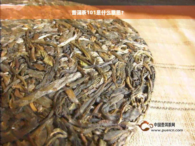 普洱茶101是什么意思？