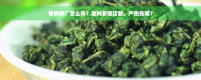 老树茶厂怎么样？老树茶馆店数，产地在哪？