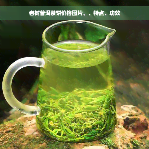 老树普洱茶饼价格图片、、特点、功效