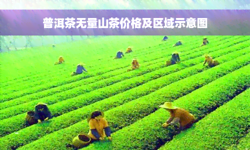 普洱茶无量山茶价格及区域示意图