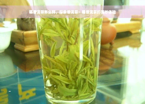 喝普洱茶怎么样，探索普洱茶：喝普洱茶的美妙体验