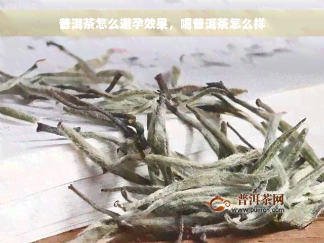 普洱茶怎么避孕效果，喝普洱茶怎么样