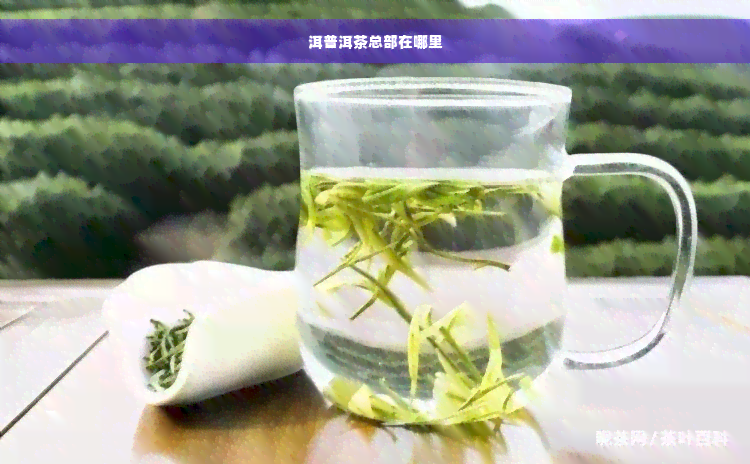 洱普洱茶总部在哪里