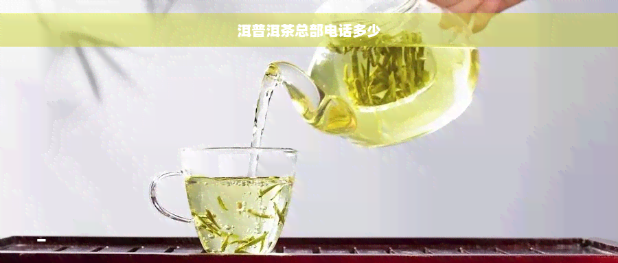 洱普洱茶总部电话多少