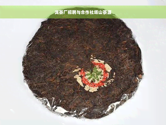 洱茶厂招聘与合作社塔山茶源