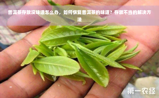 普洱茶存放没味道怎么办，如何恢复普洱茶的味道？存放不当的解决方法