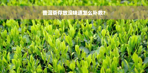 普洱茶存放没味道怎么补救？