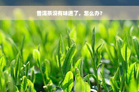 普洱茶没有味道了，怎么办？