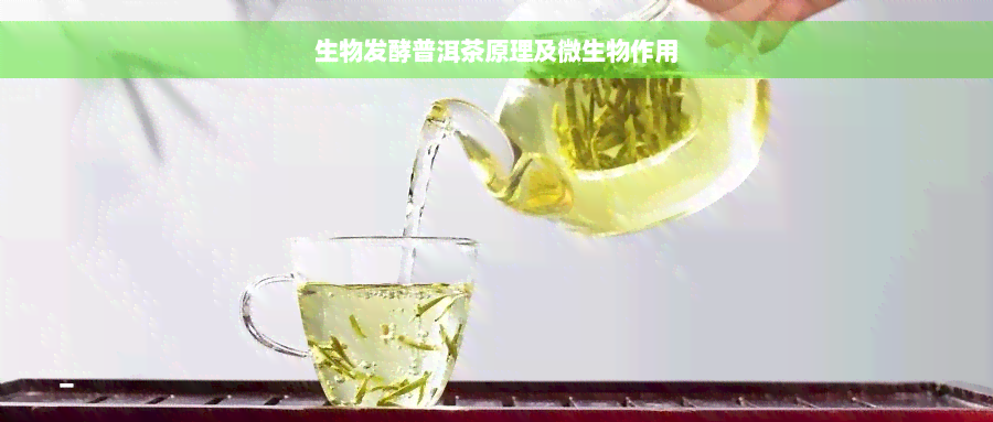 生物发酵普洱茶原理及微生物作用