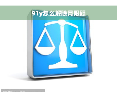 91y怎么解除月限额